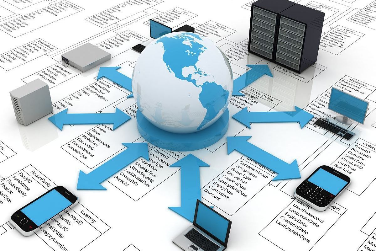 大慶網站建設 精準定位目標用戶，打造高效數字門戶
